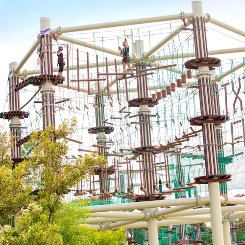 Maroochydore: Next Level Park Treetops Adventure