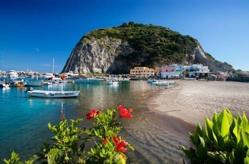 Boats in a calm bay with clear water, sandy beach, red hibiscus flowers in the foreground, and a rocky hill in the background.