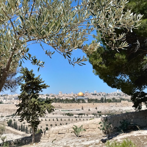 Jerusalem, Bethlehem & Dead Sea: Roundtrip from Tel Aviv