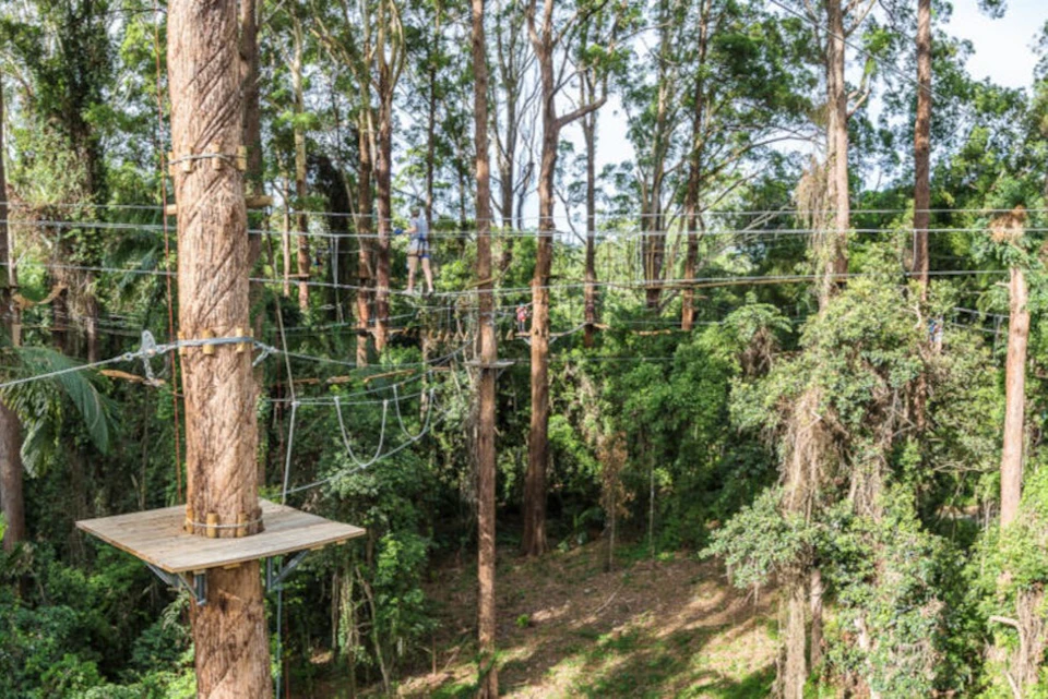 TreeTop Adventure Challenge on the Sunshine Coast