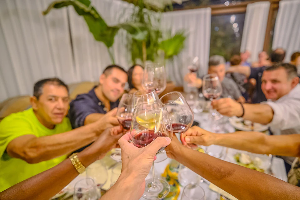 A group of people clinking glasses in a celebratory toast at a table, with plants and curtains in the background.