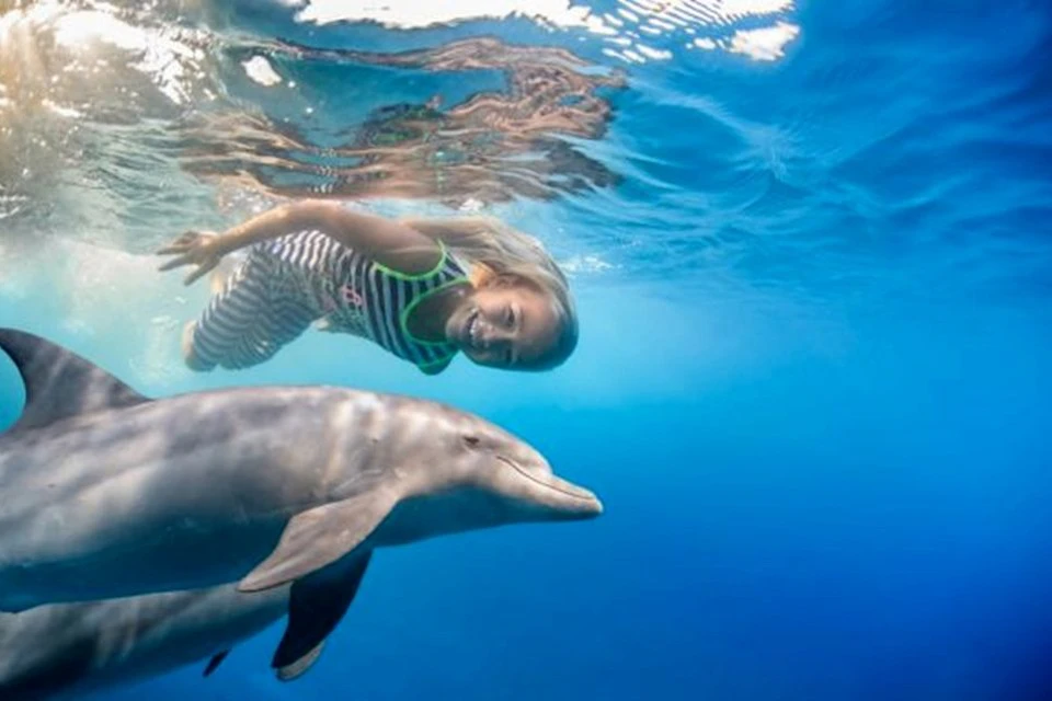 Dolphin House Royal VIP Sea Trip Water Sports Transfer HURGHADA