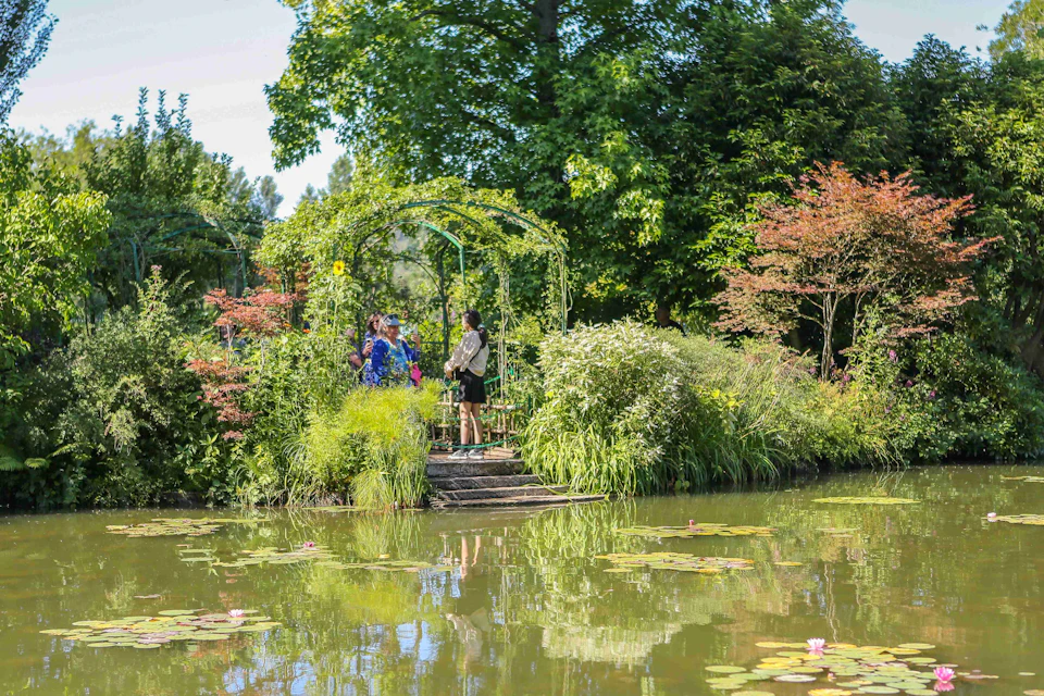 Two people stand on a wooden platform surrounded by lush greenery and flowers beside a pond with lily pads.