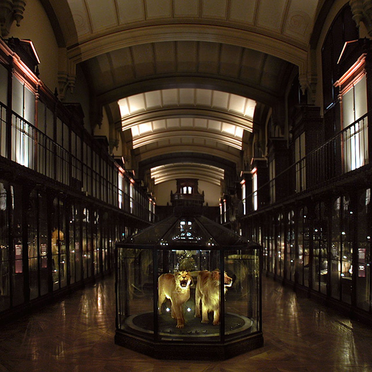 Grande Galerie de l'Évolution: Skip The Line Ticket in Paris – Tiqets