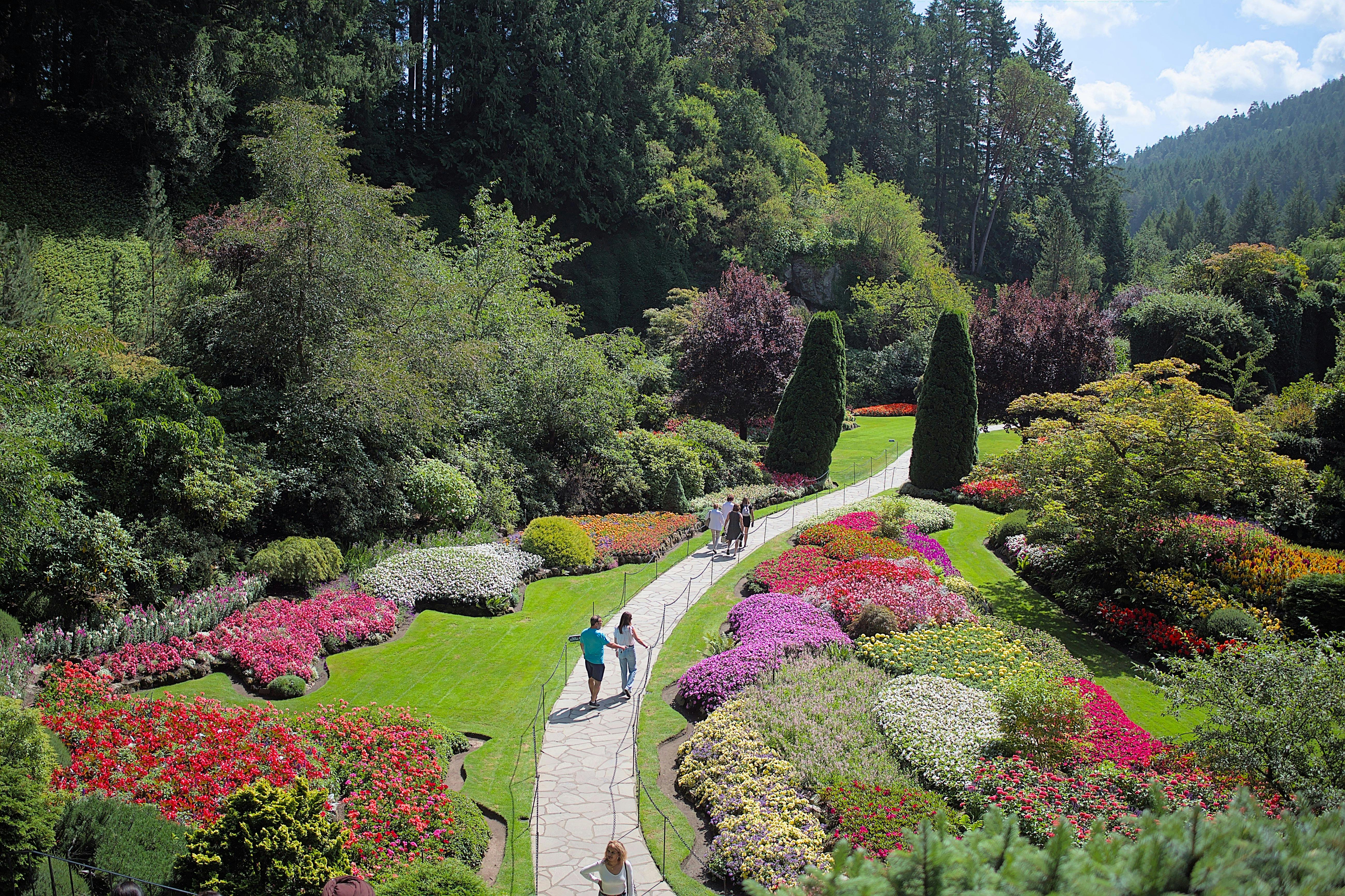Ένα μονοπάτι περνάει μέσα από έναν ζωντανό κήπο με πολύχρωμα παρτέρια, ψηλά δέντρα και θάμνους. Οι άνθρωποι περπατούν κατά μήκος του μονοπατιού, απολαμβάνοντας το τοπίο.