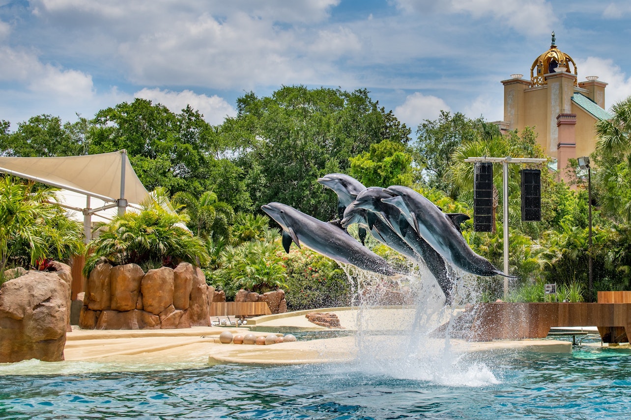 SeaWorld Orlando - Acomodações em Orlando