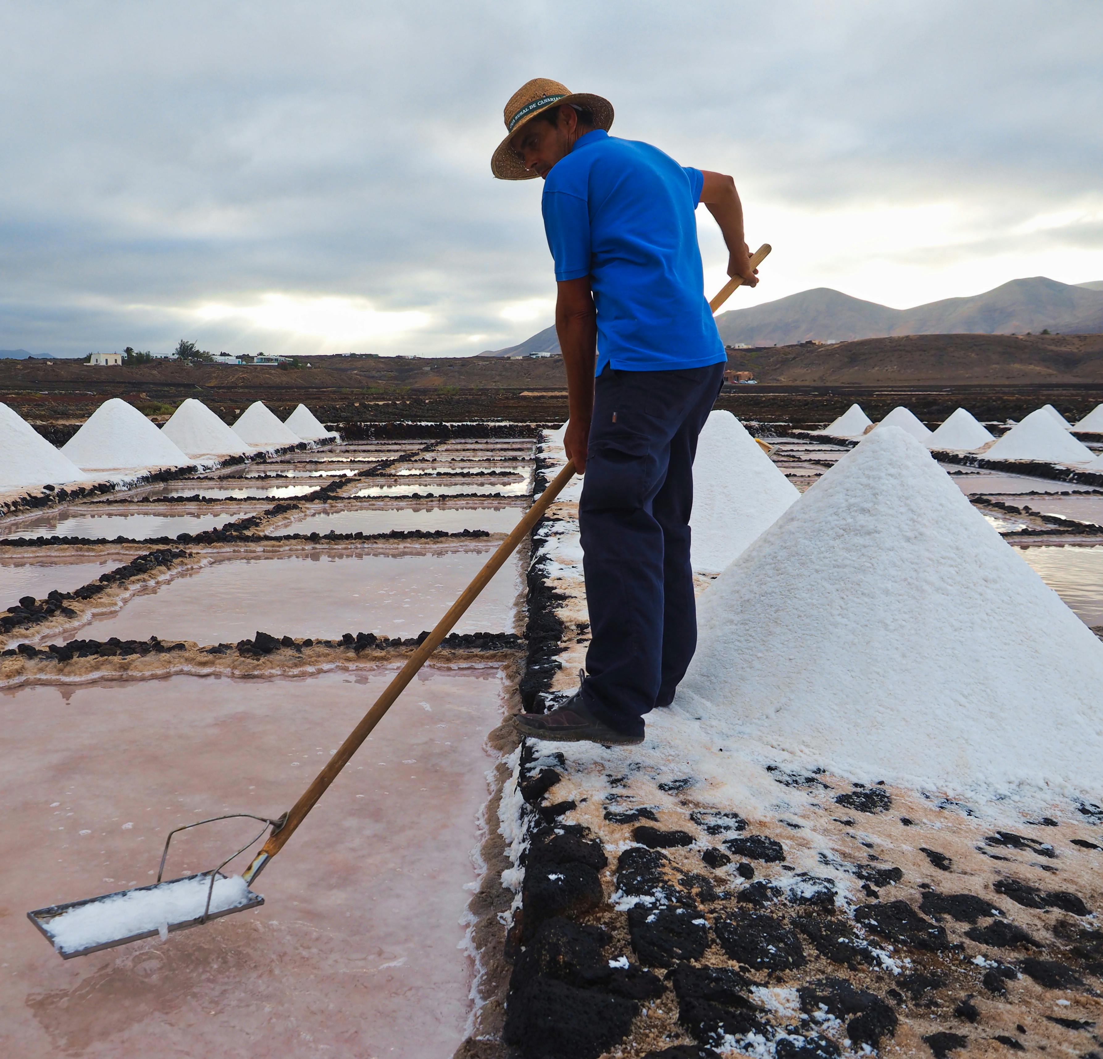 Osoba sklízející sůl pomocí nástroje, obklopená hromadami bílé soli ve čtvercových úsecích, pod zataženou oblohou.