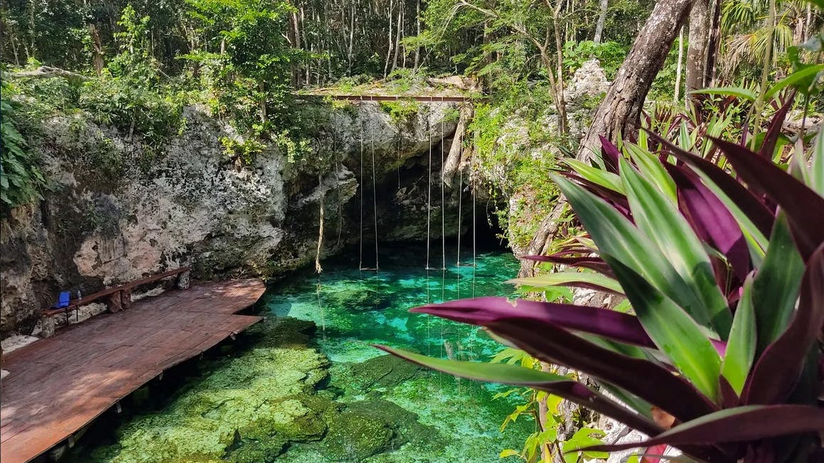 Tulum & Cenote Tour 2