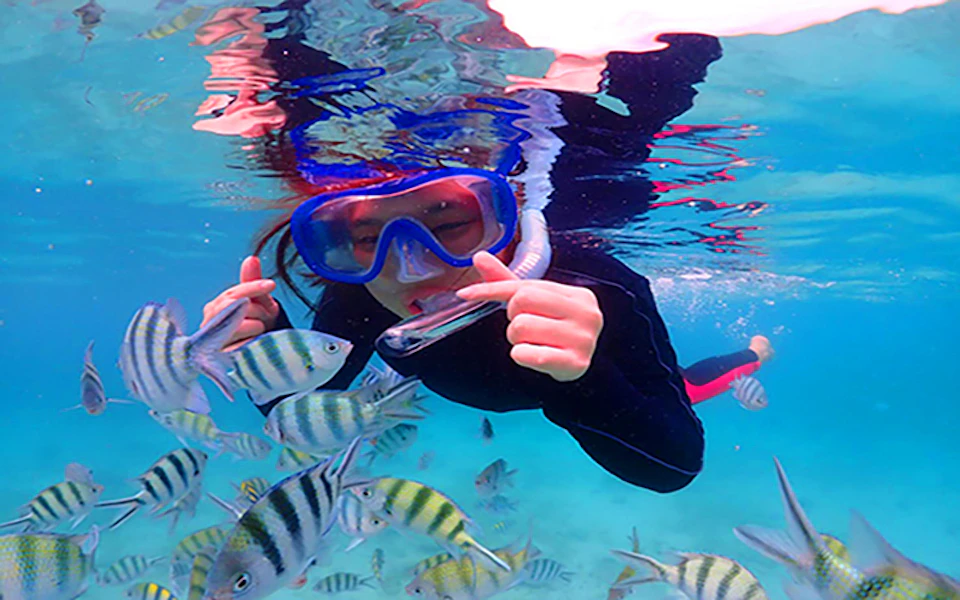Person snorkeling underwater, surrounded by colorful striped fish, wearing a blue mask and snorkel in clear, blue water.