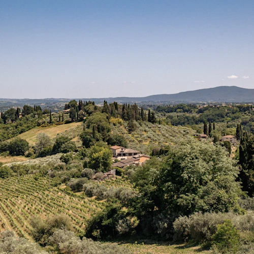 San Gimignano, Siena, Monteriggioni & Chianti: Tour + Lunch + Wine Tasting - Photo 6