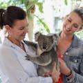 Zwei Damen kuscheln mit einem Koala