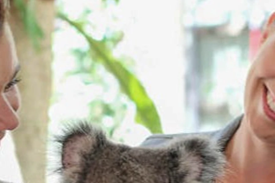 Biljetter till Lone Pine Koala Sanctuary i Brisbane