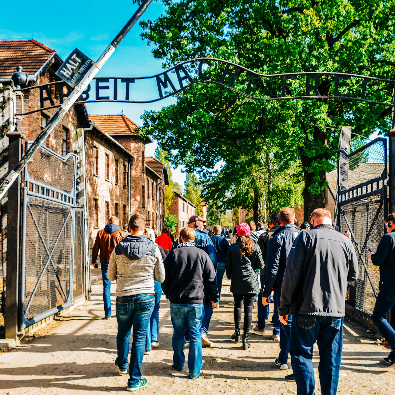 Auschwitz-Birkenau: Guided Tour + Transfers in Krakow β Tiqets