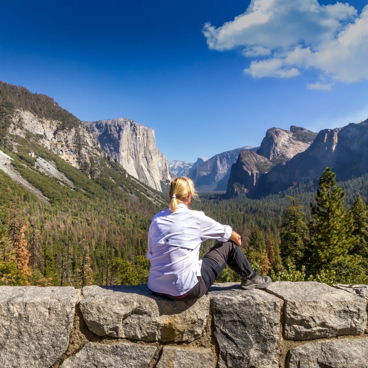 De São Francisco: 1-Dia de Yosemite e Tour Sequoia Gigante - Acomodações em São Francisco