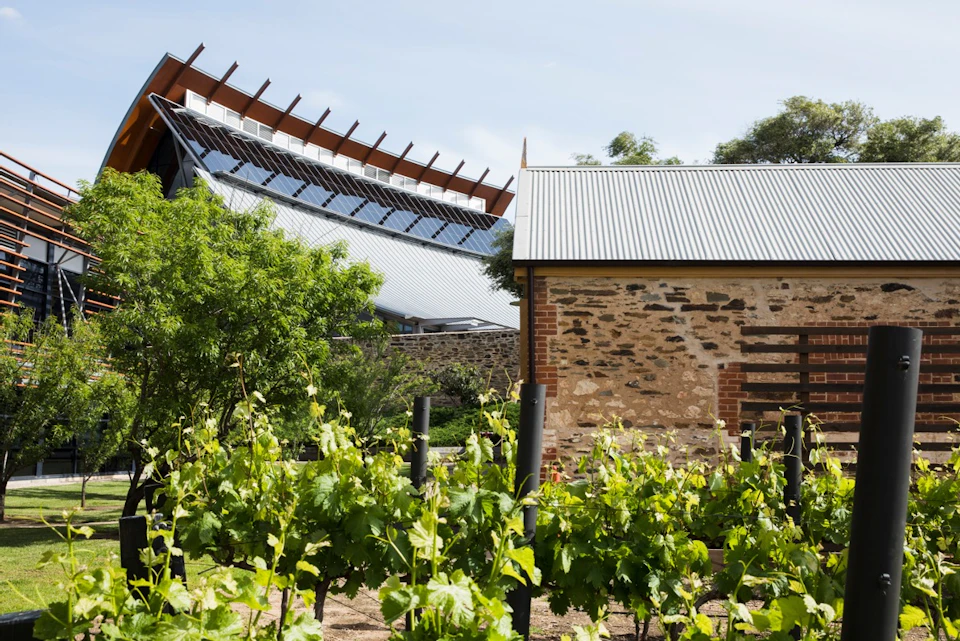 A vineyard with a stone building and a modern structure with solar panels in the background under a clear sky.