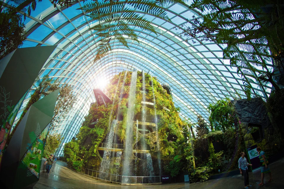 Cloud Forest