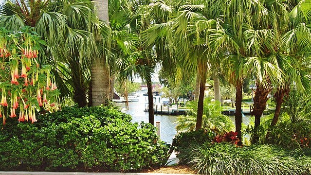 Jardin tropical luxuriant avec des palmiers et des fleurs épanouies, donnant sur une voie d'eau avec des quais et des bateaux en arrière-plan.