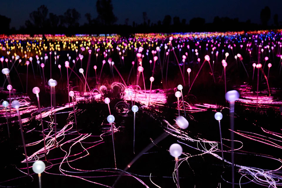 Field of illuminated, colorful light installations resembling flowers at night, with diverse colors glowing against a dark sky.