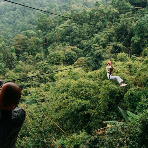 Skyline Jungle Luge Chiang Mai: Zipline Adventure + Buffet Lunch + Transfer - Photo 8