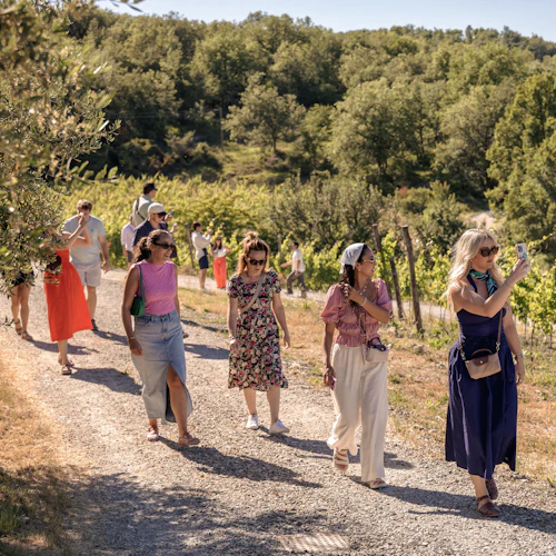 Chianti: Day Trip from Florence + Wine Tour & Tasting - Photo 3