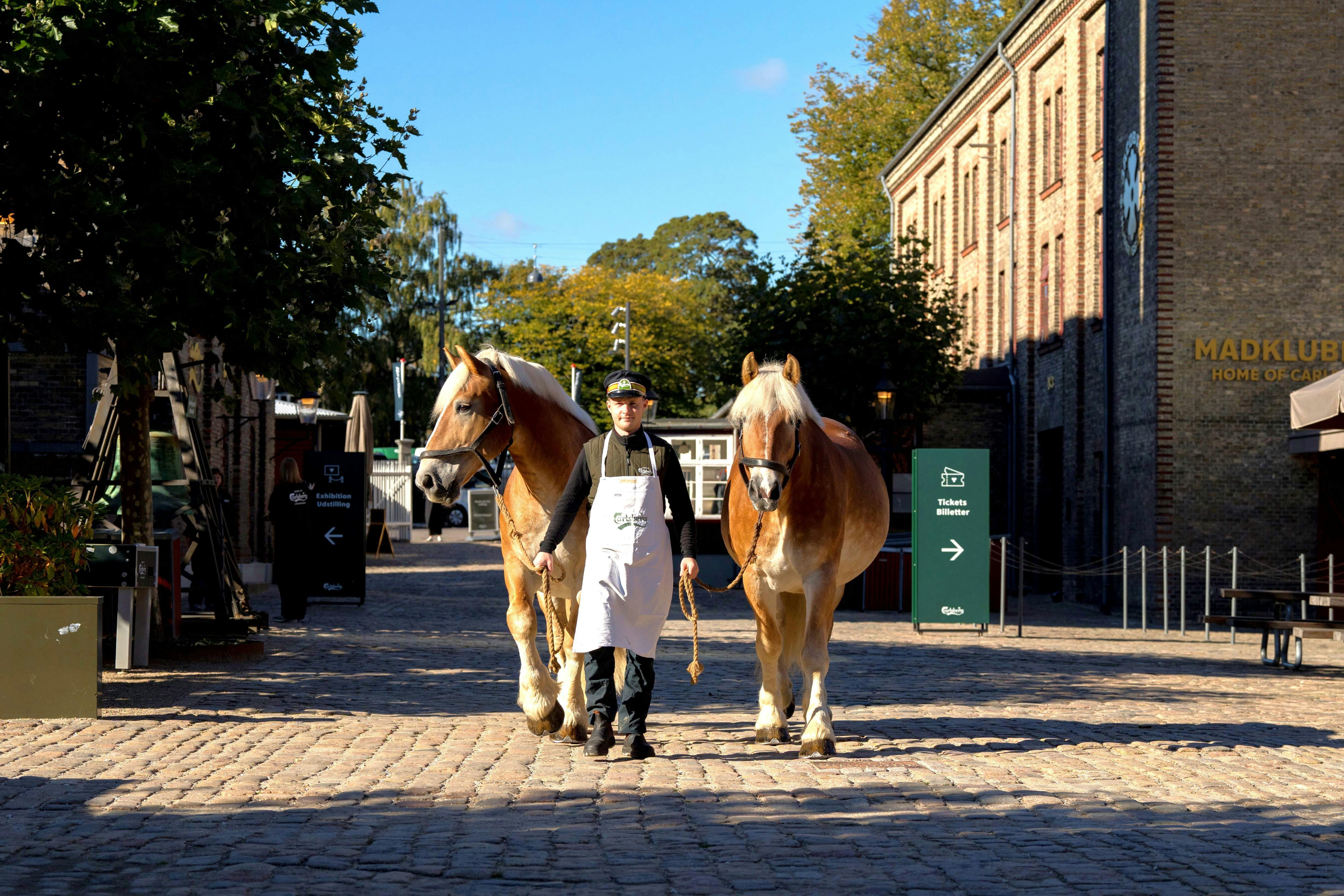 앞치마를 두른 사람이 자갈길에서 건물과 나무를 배경으로 두 마리의 말을 이끌고 있습니다.
