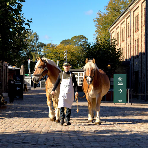 Home of Carlsberg entrance ticket + Guided cellar tour