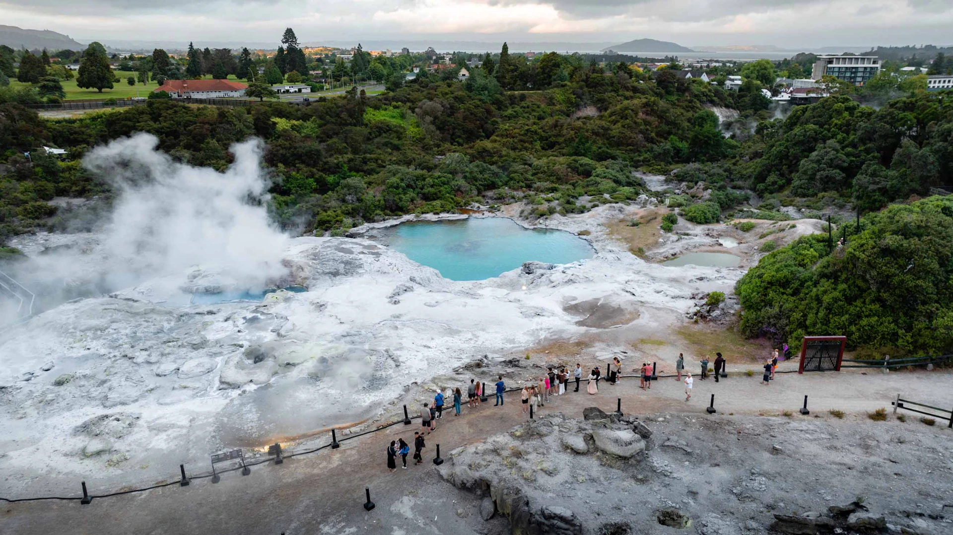 Te Puia: Te Po Indigenous Evening Experience Combo with Guided Tour