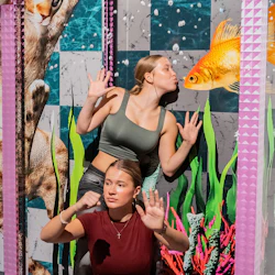 Gefangen im Wassercontainer!