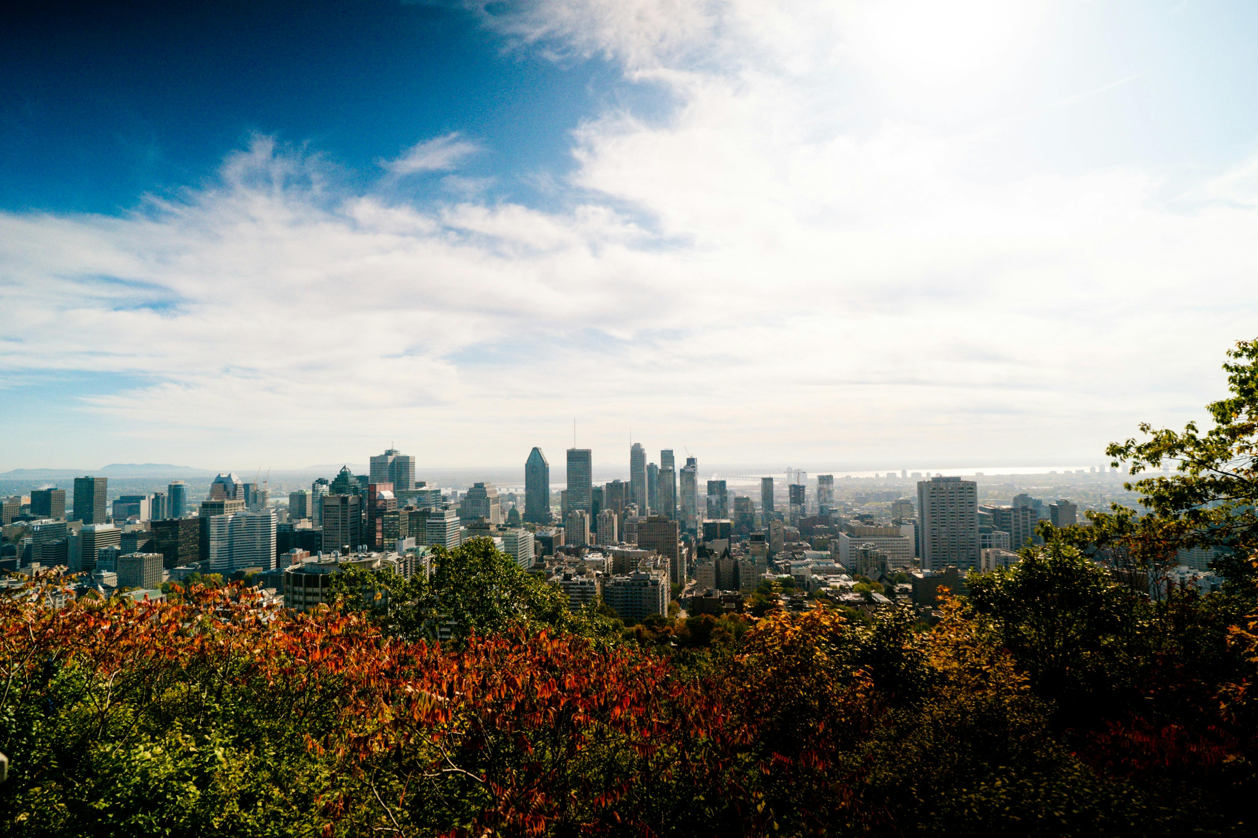 The Best of Montreal Tour with Boat Cruise 4