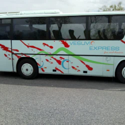 Mount Vesuvius: Transport Only from Ercolano by Vesuvio Express 3