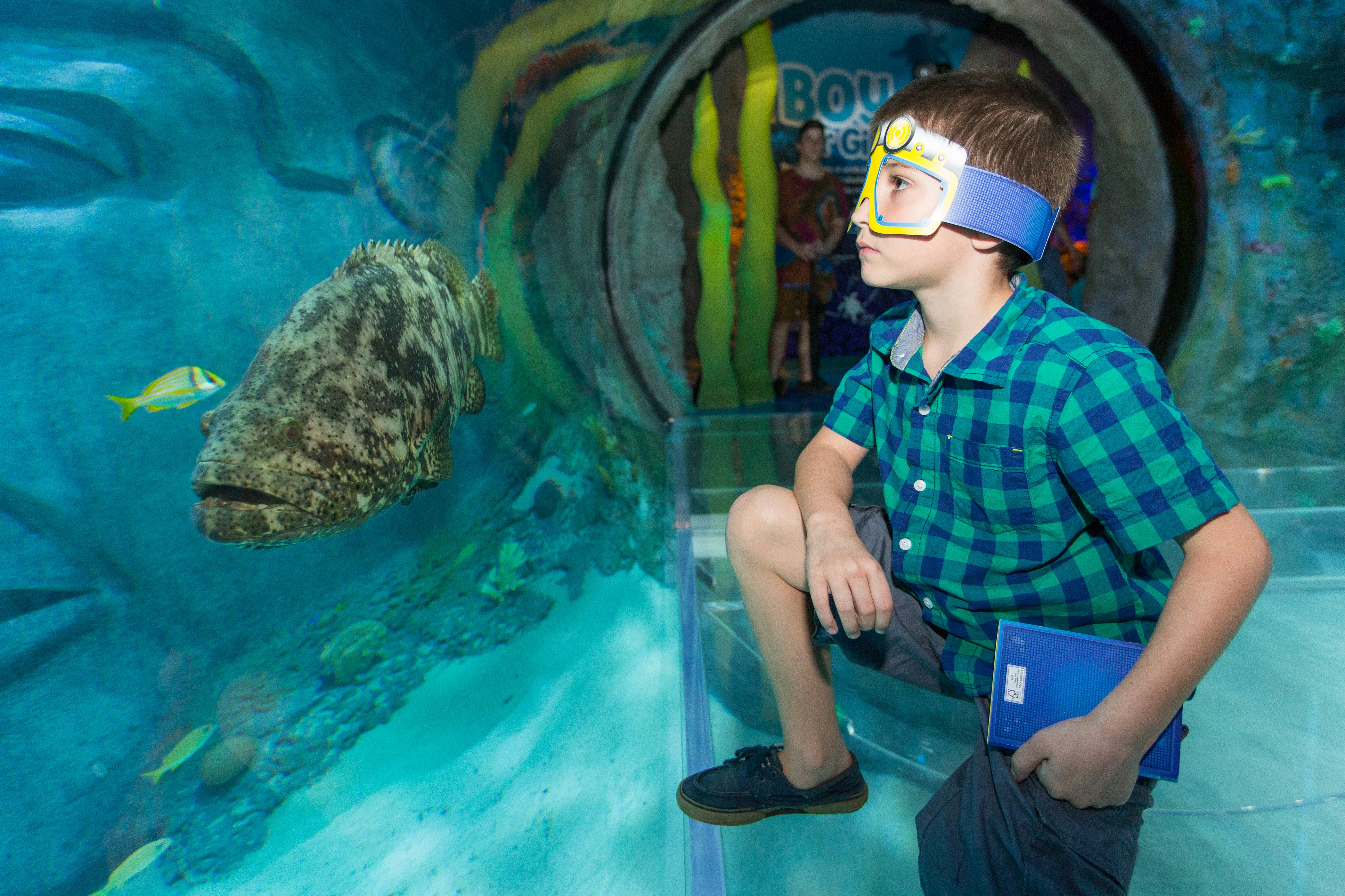 ICON Park: The Orlando Eye + Madame Tussauds + SEA LIFE Aquarium