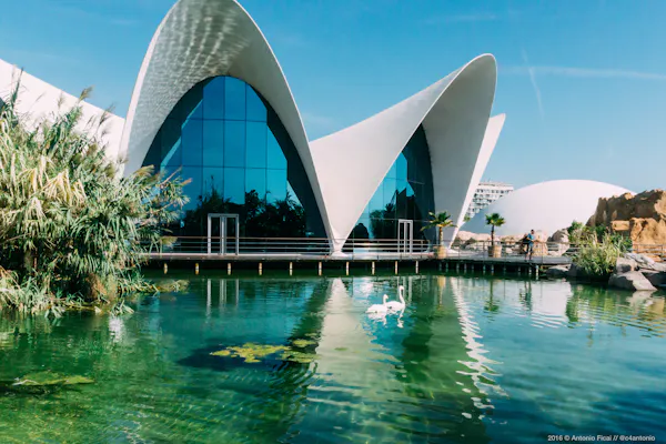 Oceanogràfic de Valencia: Entrada