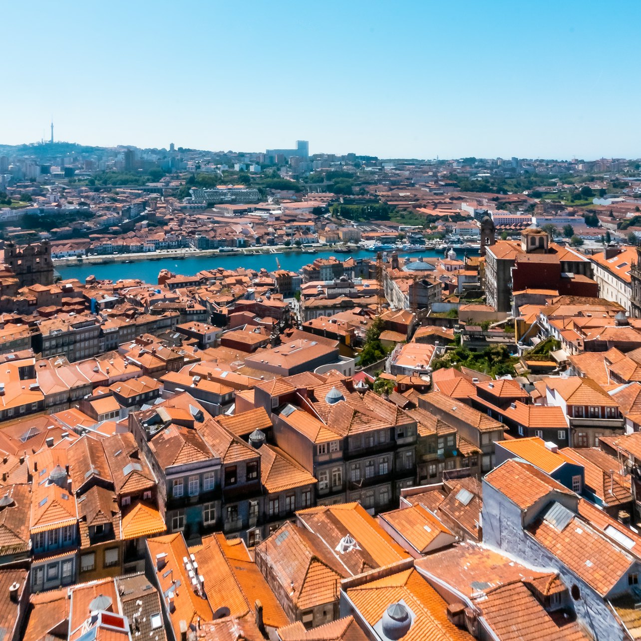 Clérigos Tower & Museum: Entry Ticket