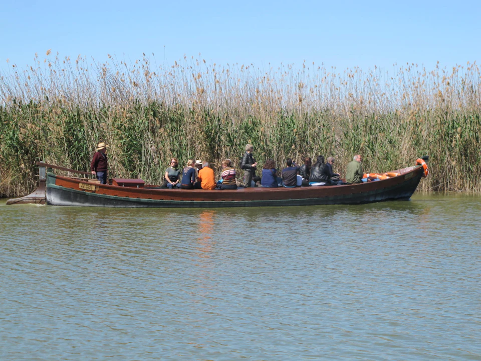 A group of people sitting in a wooden boat floating on a calm water body near tall grass reeds.