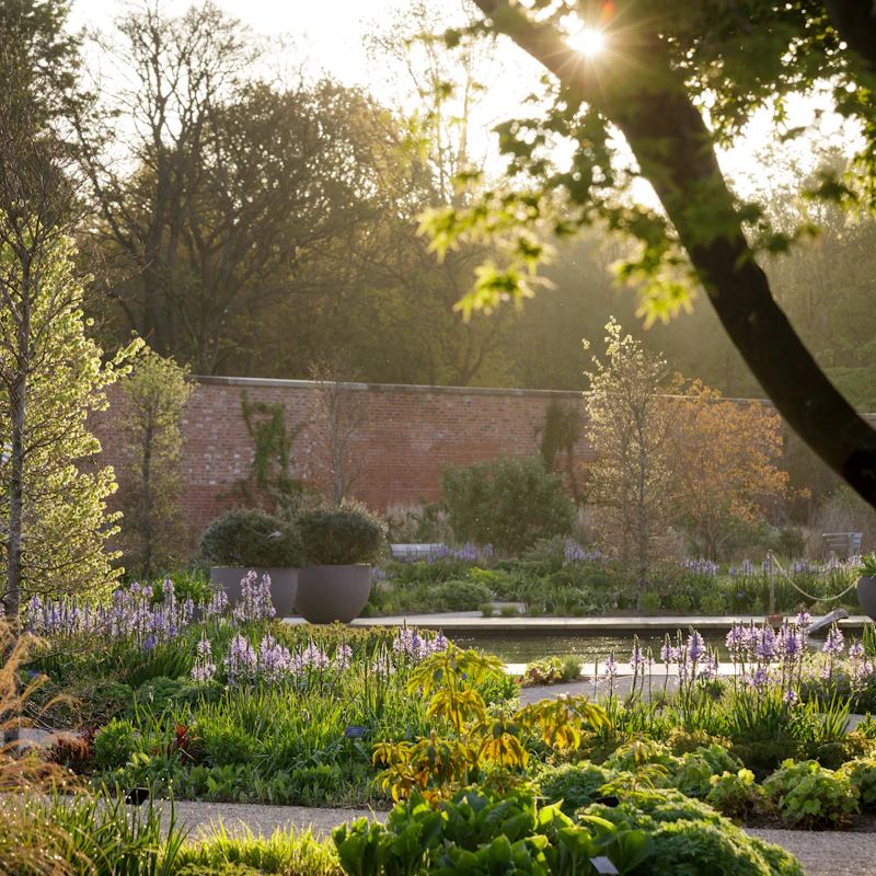 RHS Garden Bridgewater: Entry Ticket | Book Online