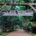 Εθνικό μνημείο Muir Woods