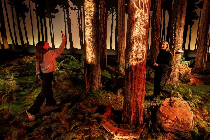 Två personer i en skogsmiljö med upplysta sniderier på trädstammar, omgivna av ormbunkar och svag belysning.