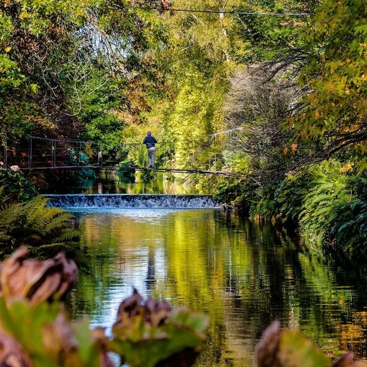 Avoca Mount Usher Gardens: Self Guided Experience in Ashford β Tiqets