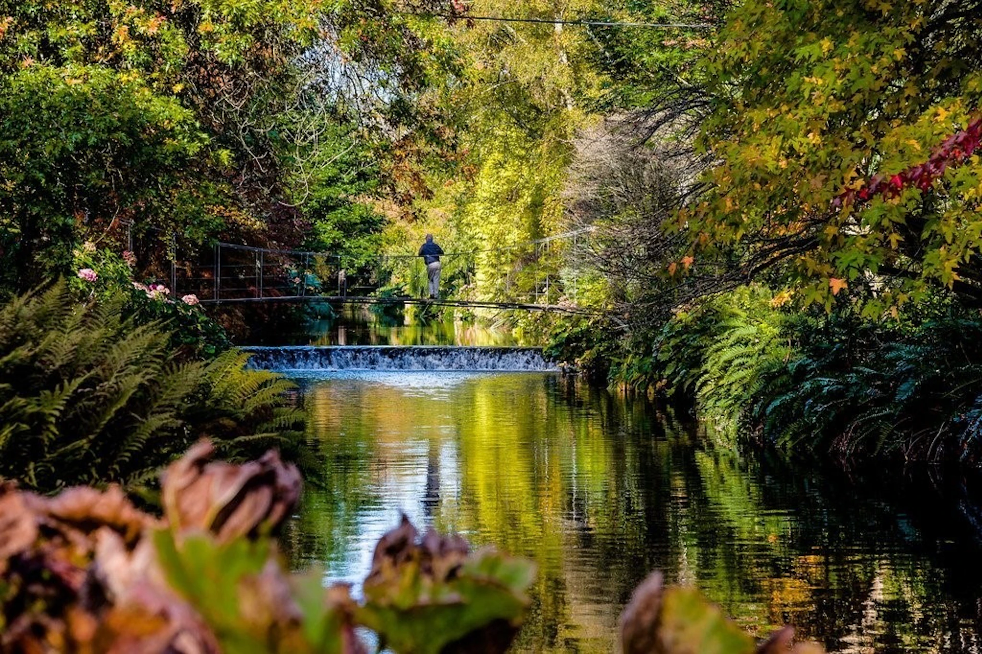 Mount Usher Gardens