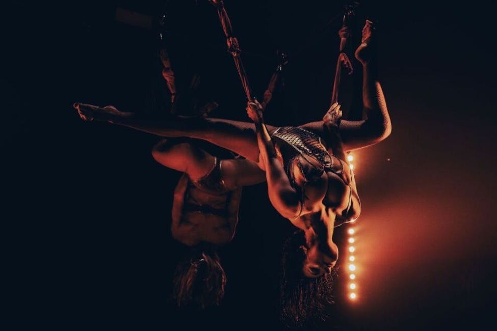 德古拉的黄金海岸人妖表演晚餐