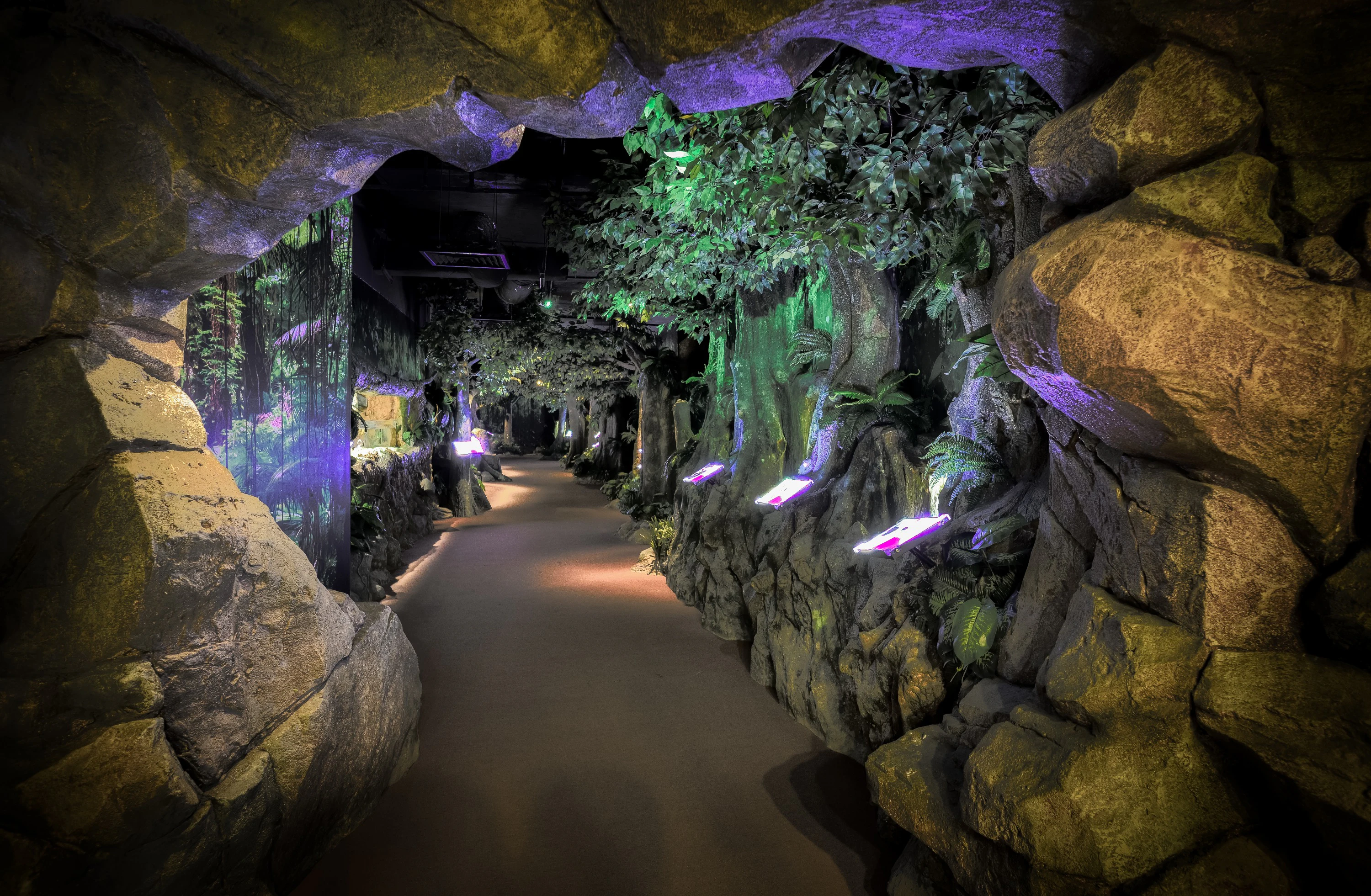 The TOP Penang Boutique Aquarium: Admission Ticket