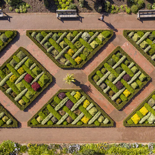 Ovanifrån en formell trädgård med geometriska mönster, omgiven av tegelvägar och två bänkar högst upp. En person går.