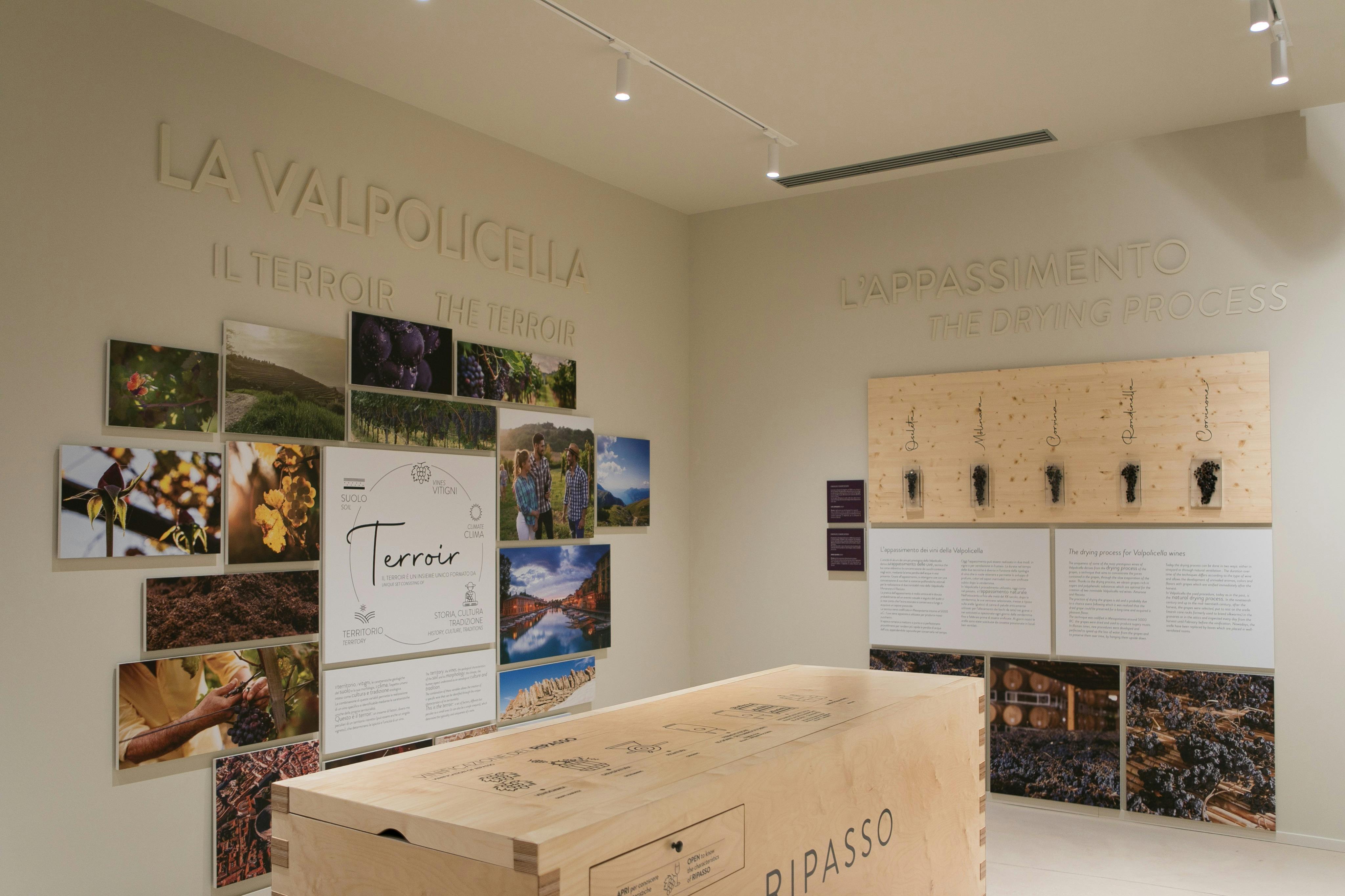 Verona: Wine Tasting Experience at Cantine Giacomo Montresor - Photo 5