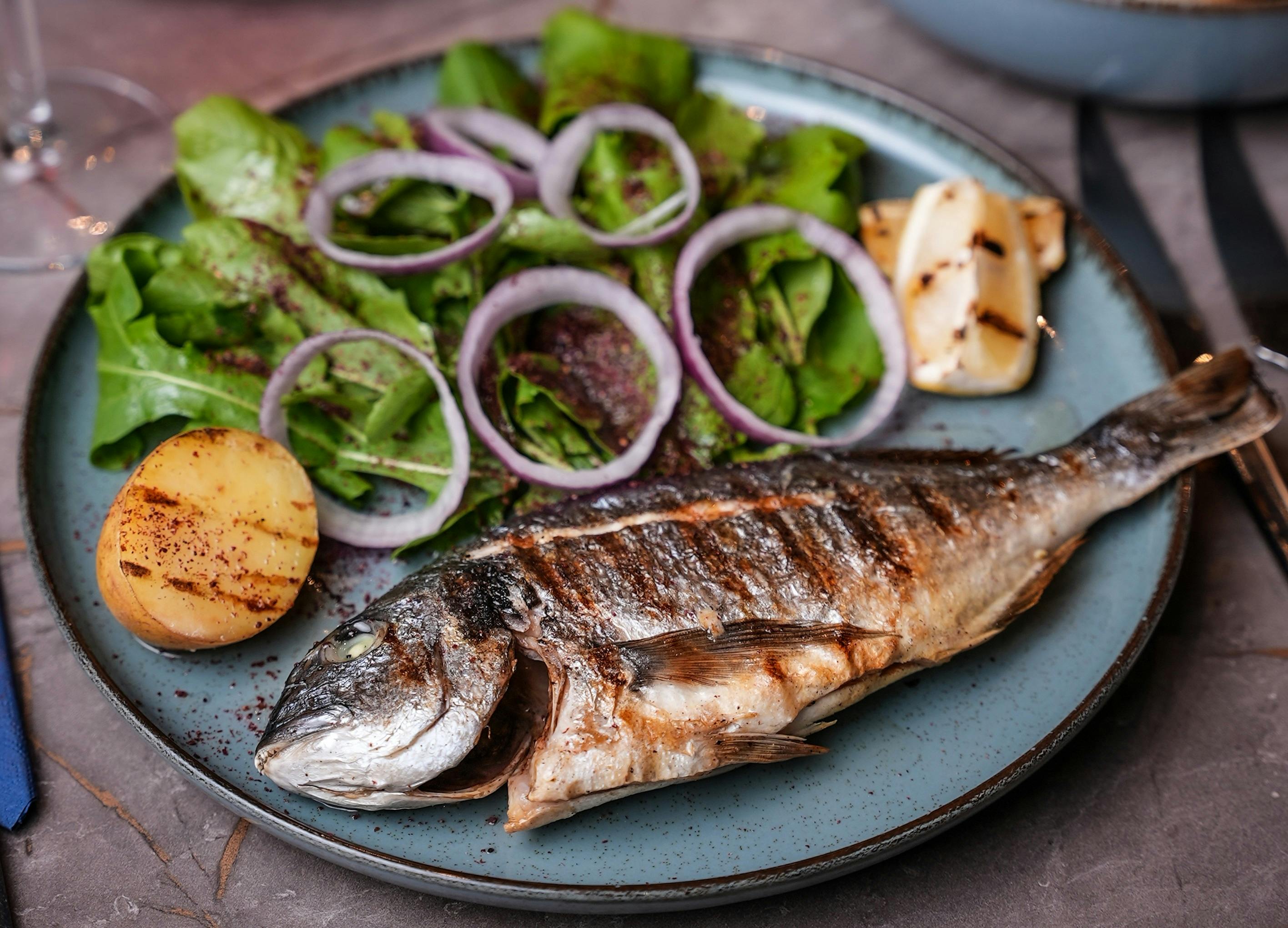 葉物野菜と赤タマネギのサイドサラダ、レモンウェッジのグリルを皿に盛った魚のグリル。