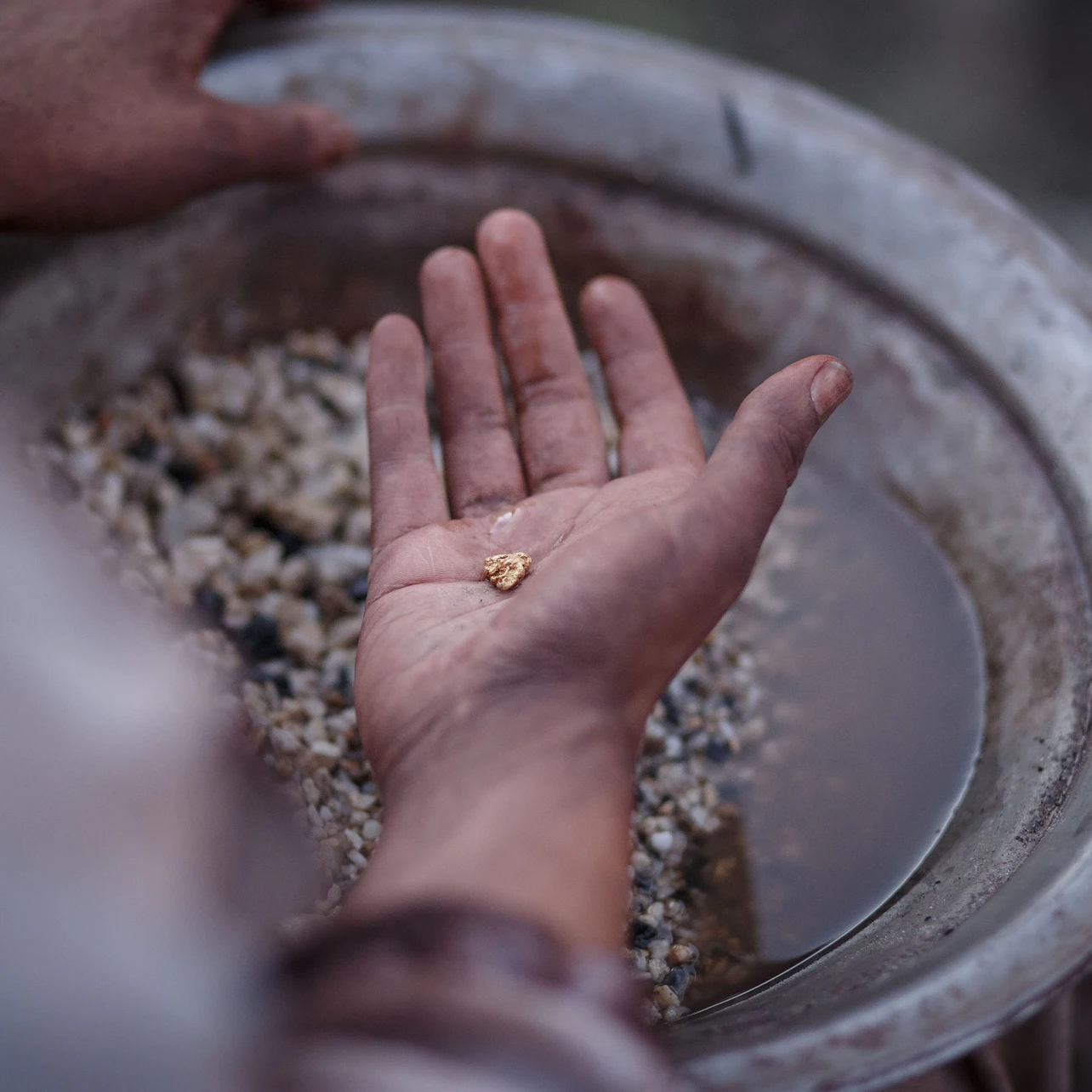 Sovereign Hill: Entry Ticket in Golden Point β Tiqets