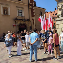 Wawel Castle Guided Interior Tour: Skip-the-Line 5