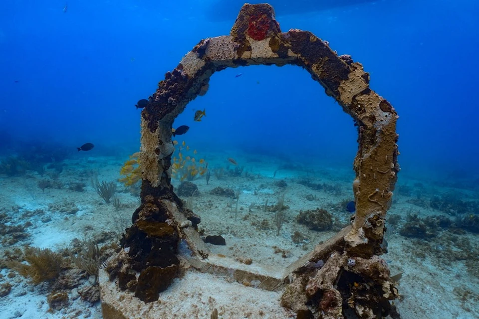 Circular stone structure covered in algae and coral on a sandy ocean floor, surrounded by fish and underwater plants.