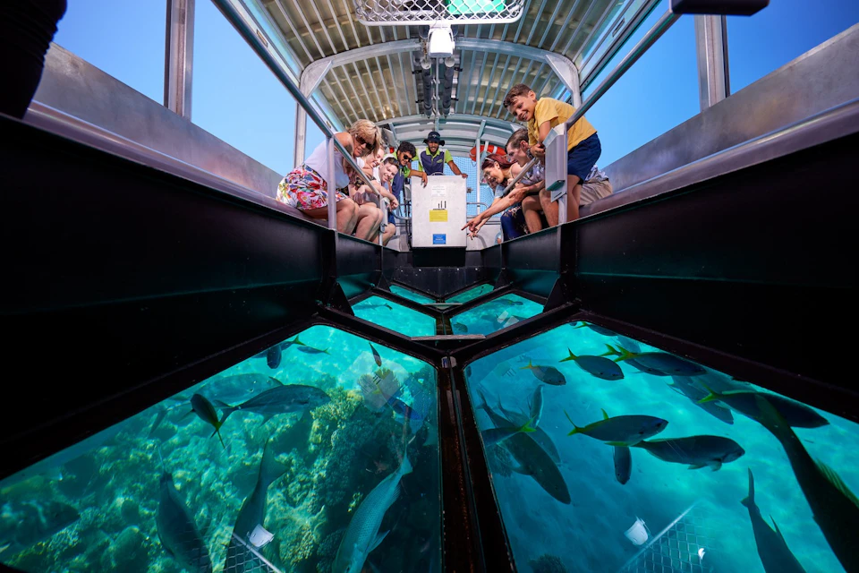 People on a glass-bottom boat observe fish and coral reefs below, in a bright, sunny setting.