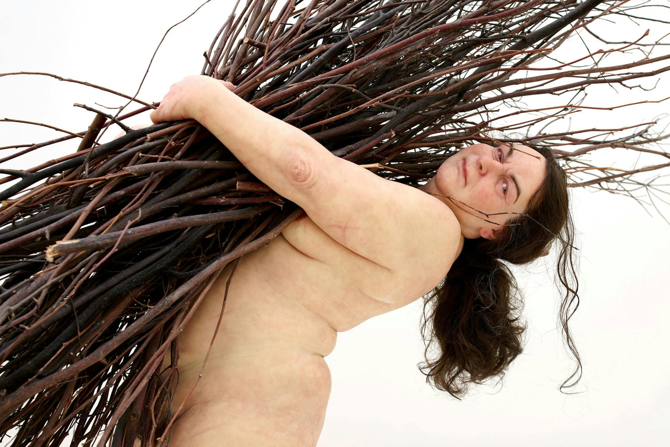 한 사람이 커다란 나뭇가지 다발을 맨 몸통을 가로질러 대각선으로 평평한 흰색 배경에 대고 있습니다.