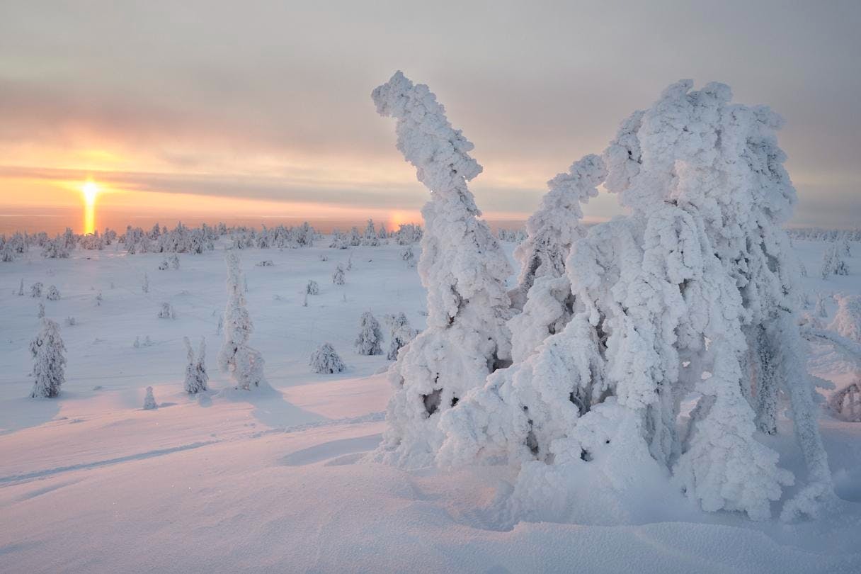 Εθνικό Πάρκο Riisitunturi